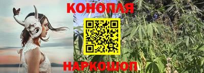 ПСИЛОЦИБИНОВЫЕ ГРИБЫ Волгодонск