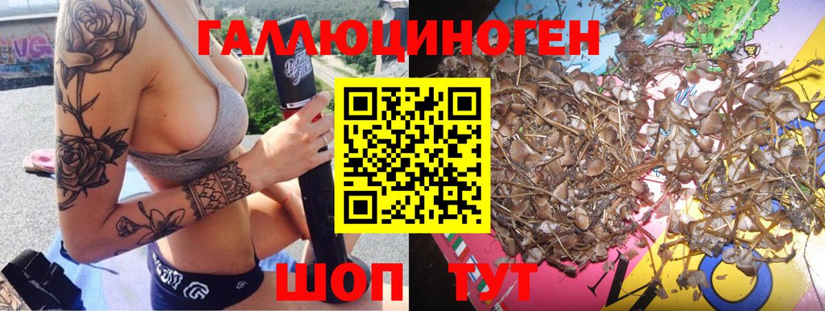 Галлюциногенные грибы мухоморы  Вход с VPN  Шуя 