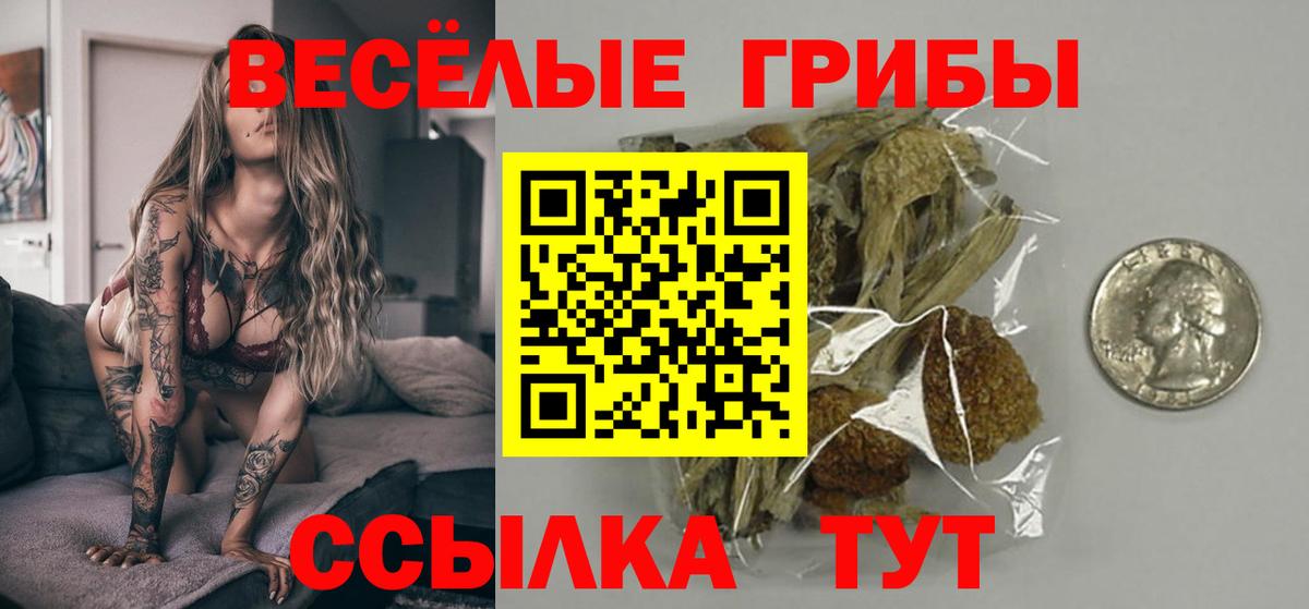 Галлюциногенные грибы Psilocybe Шуя